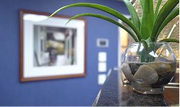 greater long island dental plant by front desk